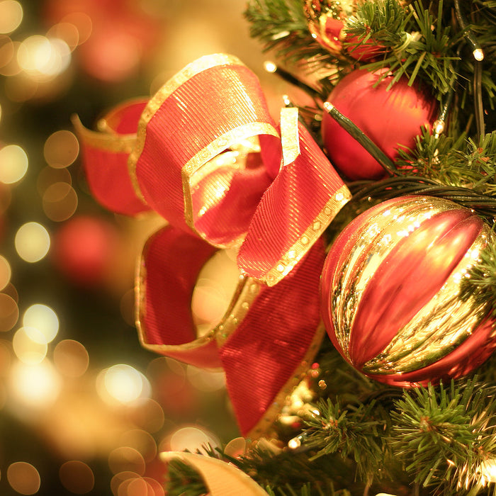 How To Avoid Christmas Tree Fires